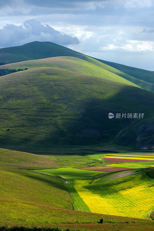 Piano Grande di Castelluccio，位于绿色山丘上的村庄，意大利